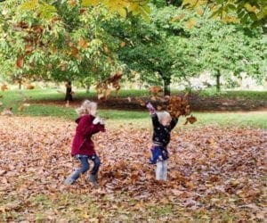 kids playing with the leaves in fall