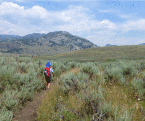 Child hiking trail through Yellowstone National park.