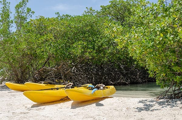 Three yellow kayaks rest in the sand in front of a row of trees at Mangel Halto Beach.