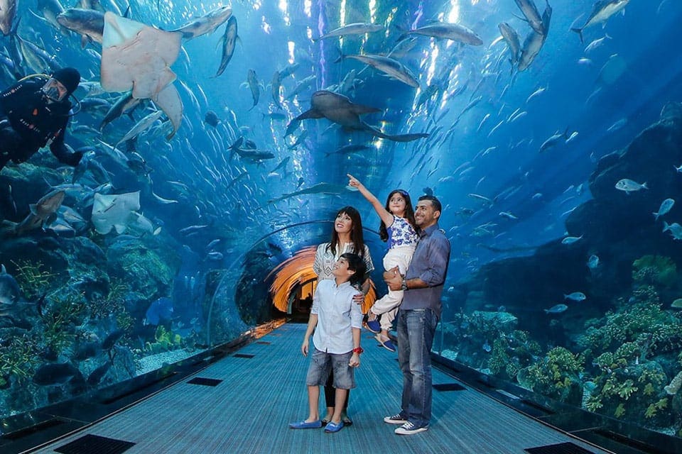 A family of four enjoys an aquarium tunnel filled with fish and stingrays overhead at Dubai Aquarium & Underwater Zoo.