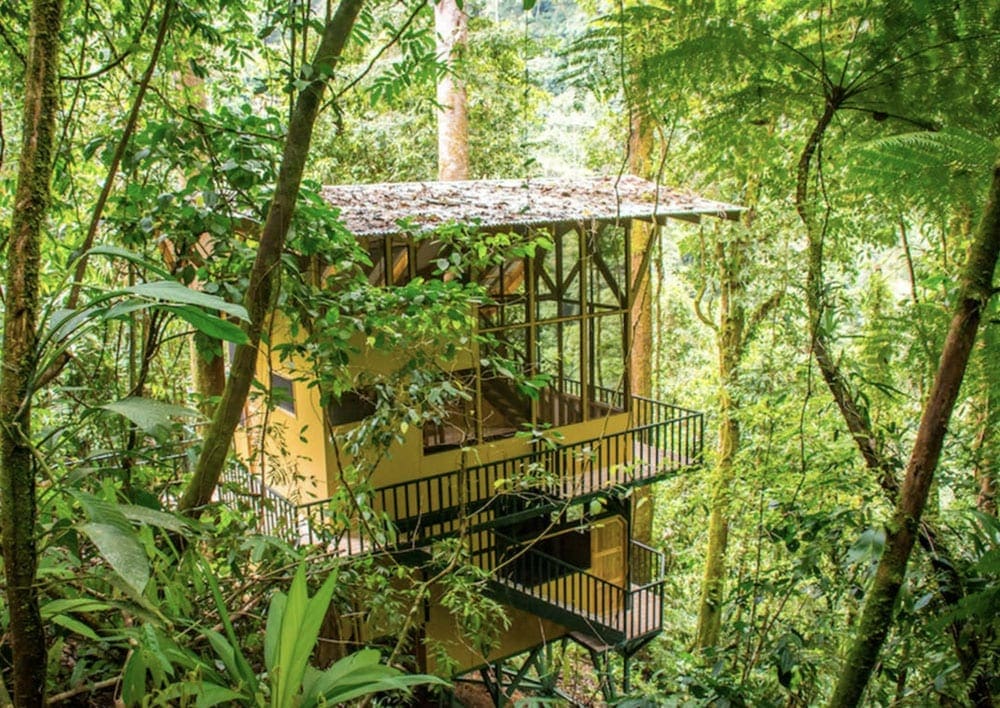 Yellow Tree house accommodation at Finca Bellavista in Costa Rica