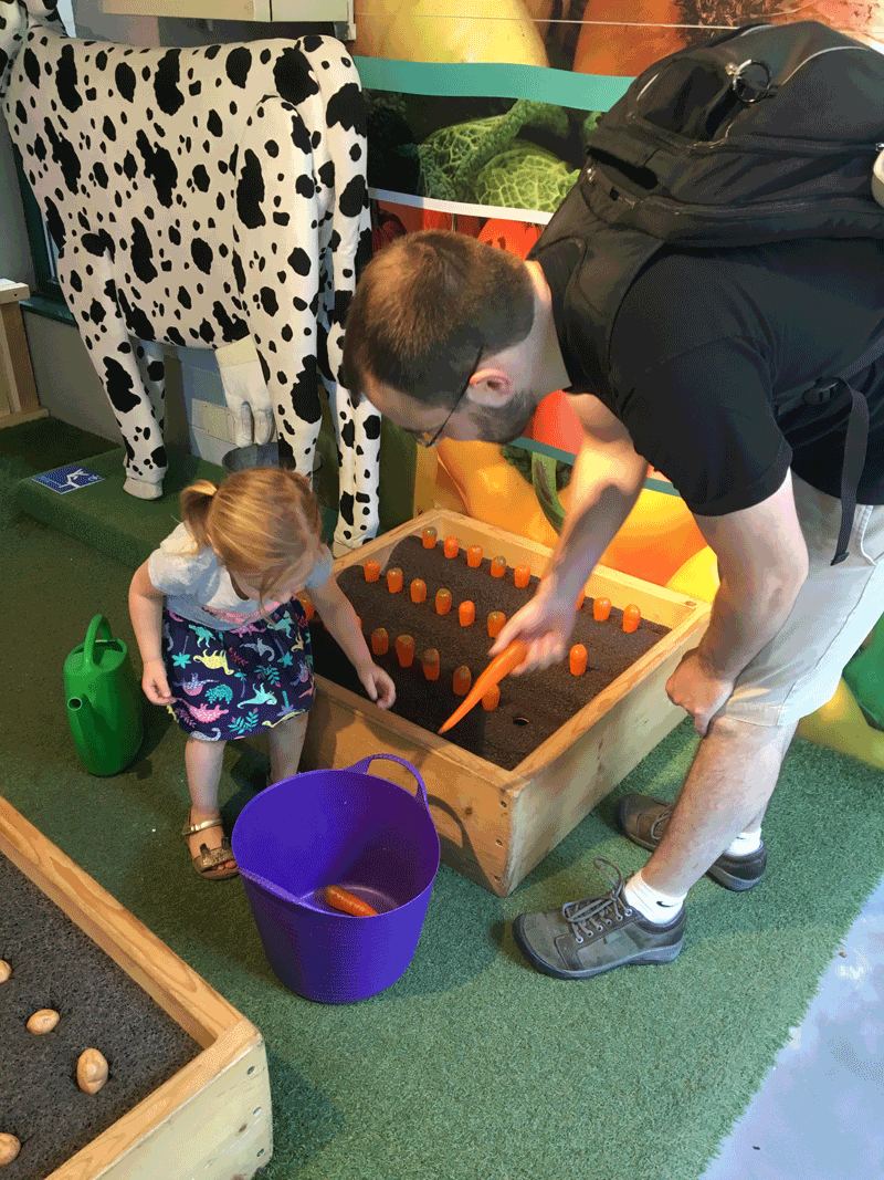 Dad and daughter playing with museum exhibit focused on growing vegetables in Explora Children's Museum in Rome.