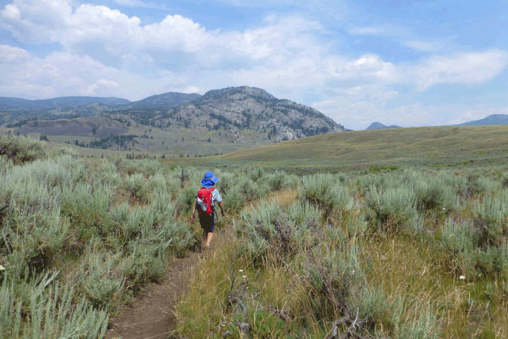 A boy with blue hat and red backpack hiking in Yellowstone National Park.