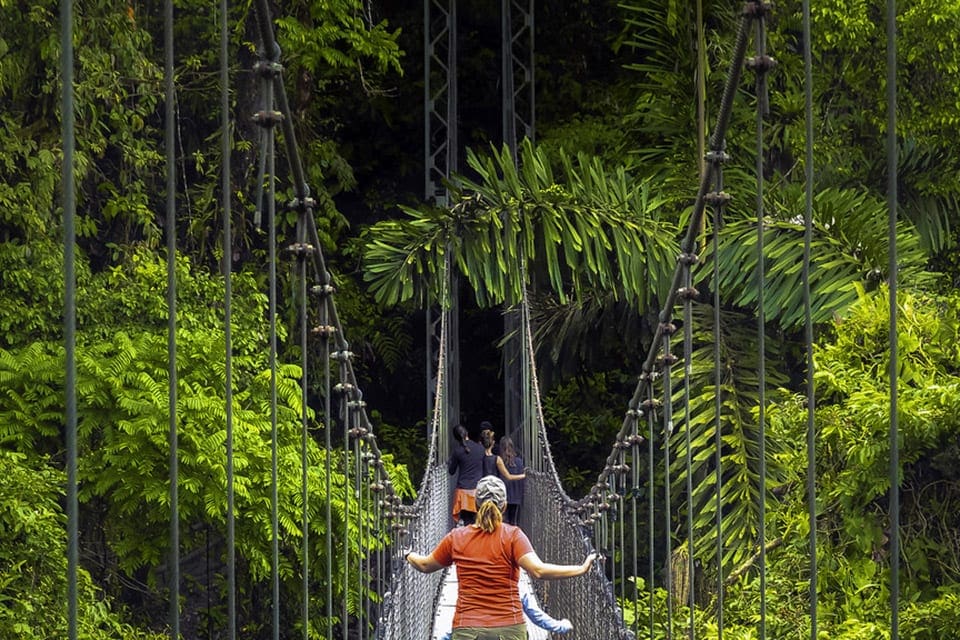 A woman wearing orange crosses the Mistico Hanging Bridges Park, surrounded in lush foliage.
