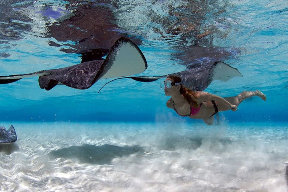 A woman wearing goggles swims under two stingrays at Native Way, one of the best things to do in Grand Cayman with kids.