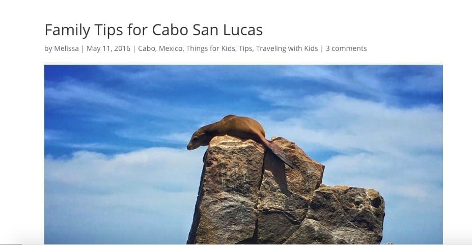 Screengrab from The Roaming Family on Los Cabos with kids.