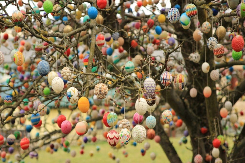 Several colorful easter eggs hanging from a tree, a very traditional German Easter celebration.