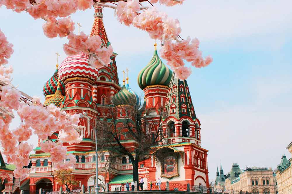 A view of the Cathedral of St. Basil in Moscow behind several lush branches with pink flowers.
