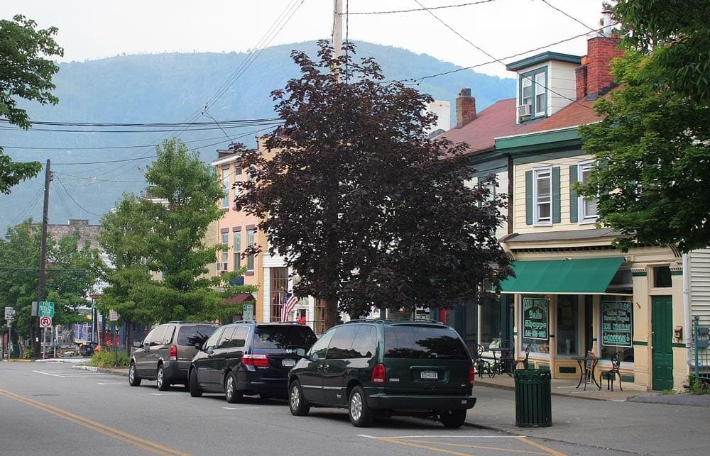 The main street of Cold Spring, New York, , one of the Best Cute Towns To Visit With Kids Near NYC, featuring lovely buildings along a street lined with trees.