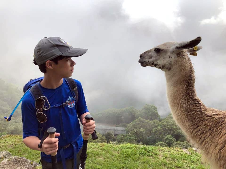 A child looks a llama in the eye in Peru's Andes Mountains.