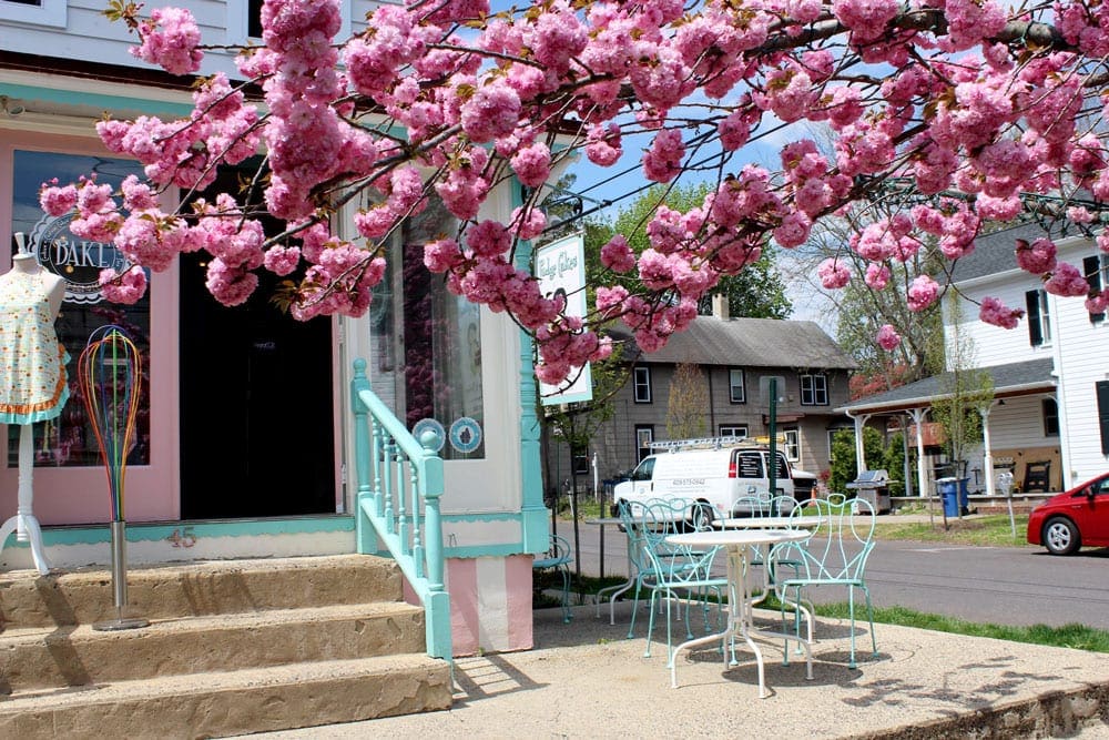 Spring time in New Hope, PA, featuring a colorful shop with a flowering tree out front.