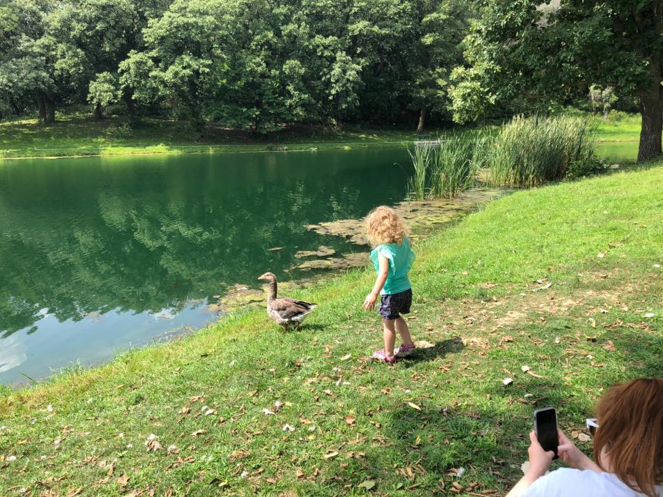 Little girl and a duck near the pond, 10 Best Midwest State Parks For Families