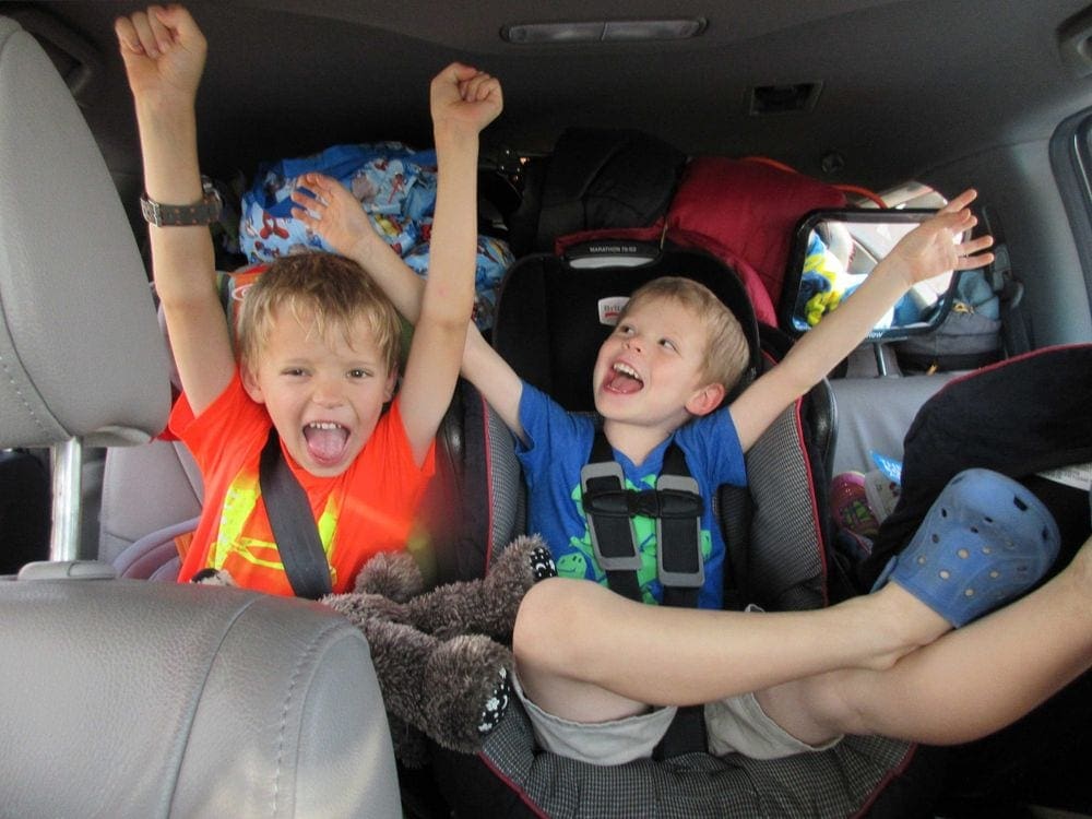 Two boys cheer with arms up in the backseat of a car.