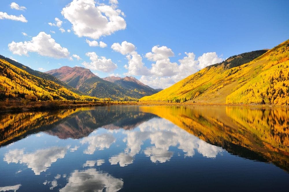 A clear lake mirrors the blue ski, while two banks of yellow aspens surround it.