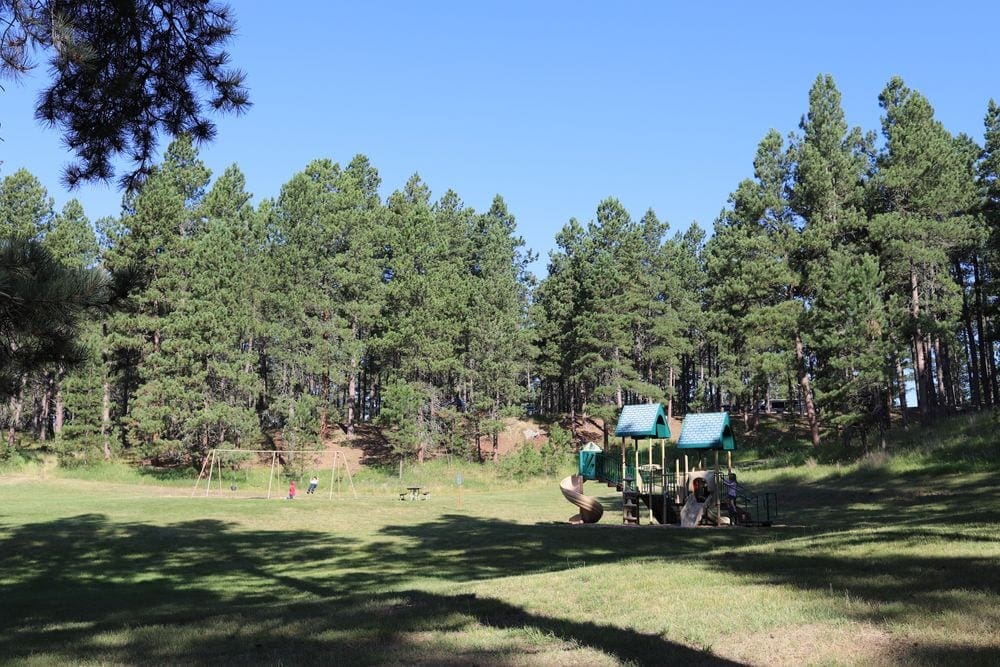 A playground stands in the distance within Stocklake Campground.