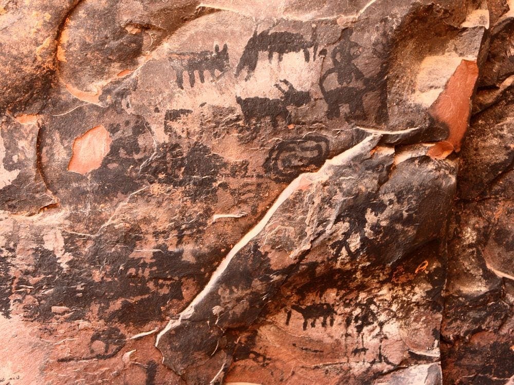 Several pictographs of animals and other indigenous symbols within a Palatki cave in Sedona.