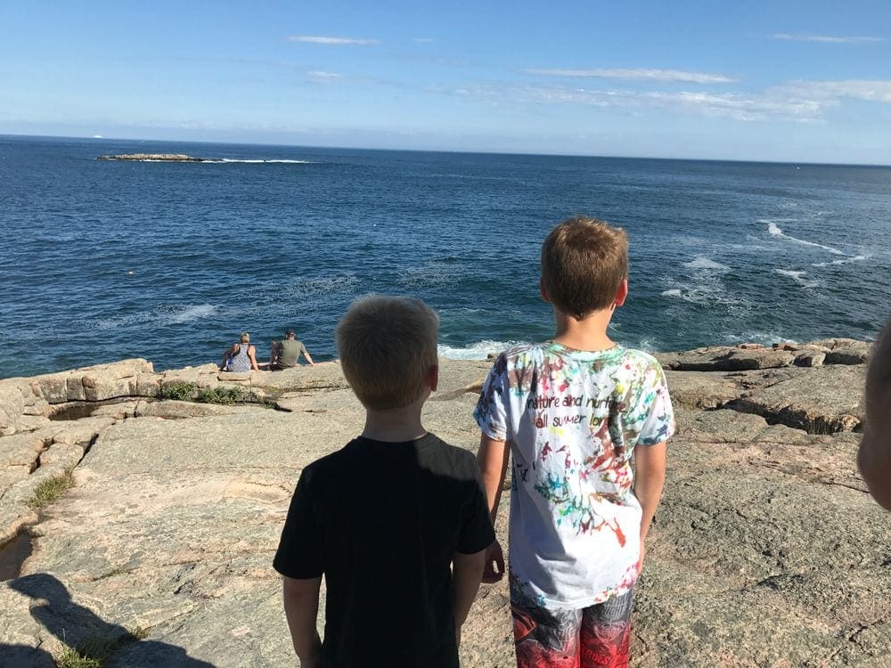 Two boys stand together looking out across the water.
