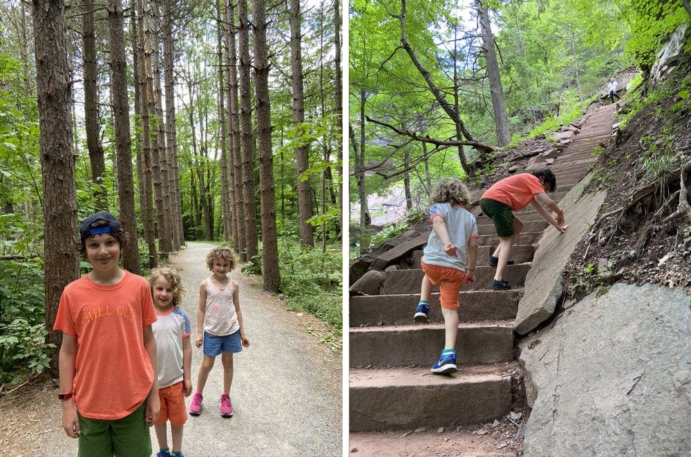 The image on the left: three children stand among tall trees in Kaaterskill Falls. The image on the right: two children climb large steps within Kaaterskill Falls, one of the most kid-friendly hikes in the Hudson Valley.