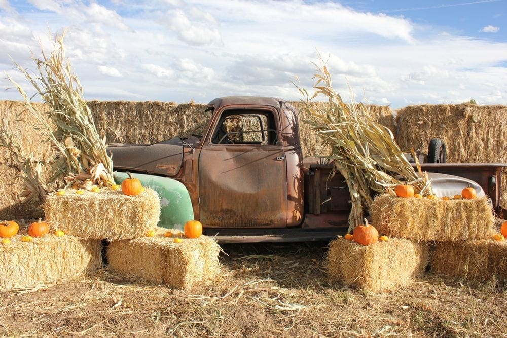 A rusty old pick-up truck sits amongst hay bales, corn stalks, and pumpkins on a fall day in Colorado.