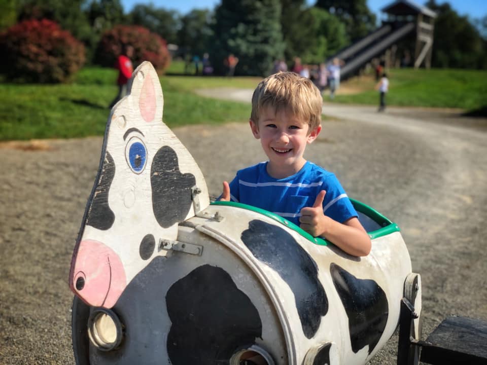 A young boy flashes two thumbs up while sitting in a decorative cow made from a barrel at Barton Orchards, one of the best places for apple picking with kids around NYC.