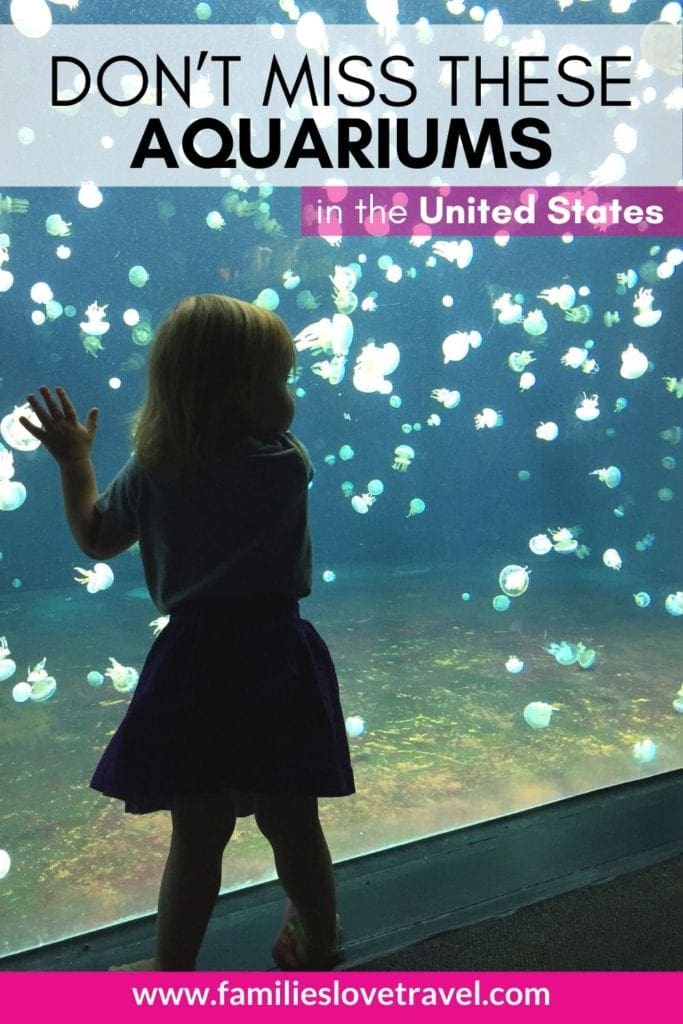 pinterest poster for 7 Best Aquariums in the United States for Families