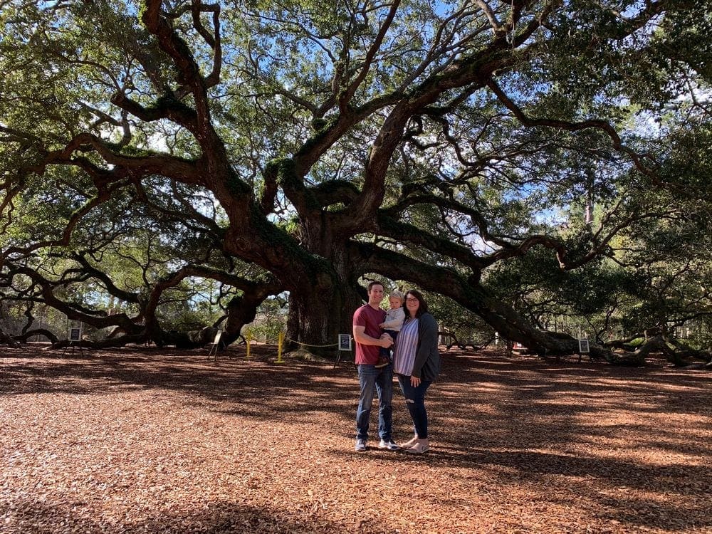 Two parents hold their young toddler as they stand in front of a large tree in charming Charleton, South Carolina.