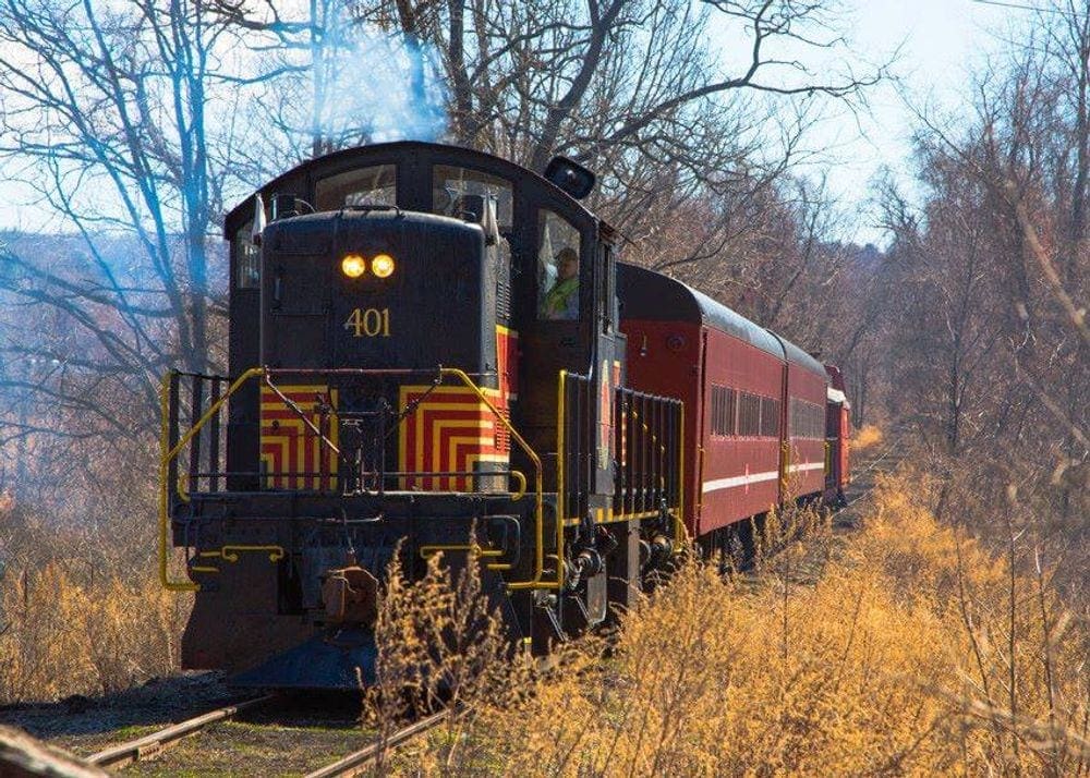 A large train barrels through fall foliage in the Catskill Mountains.