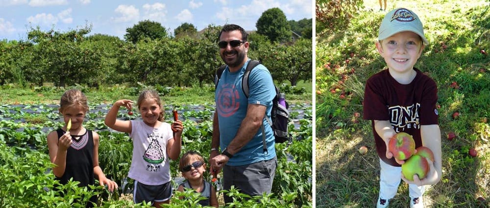 On the left: A dad and his two kids stands in a lush filed picking vegitables. On the right: a young boy holds out his treasures from apple picking near NYC.