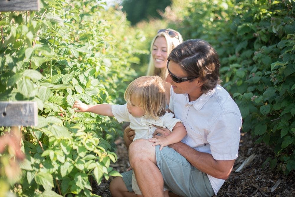 Parents look on as their young boy shows interest in and reaches out for a raspberry bush on the farm at Woodstock Inn & Resort.