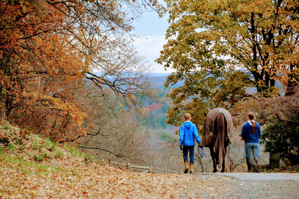 Two kids stand on either side of a horse while they stroll down the road on a beautiful autumn day.