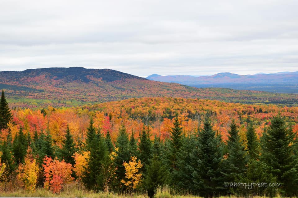 An expansive view of a gorgeous fall valley feature hues of orange, yellow, and green.