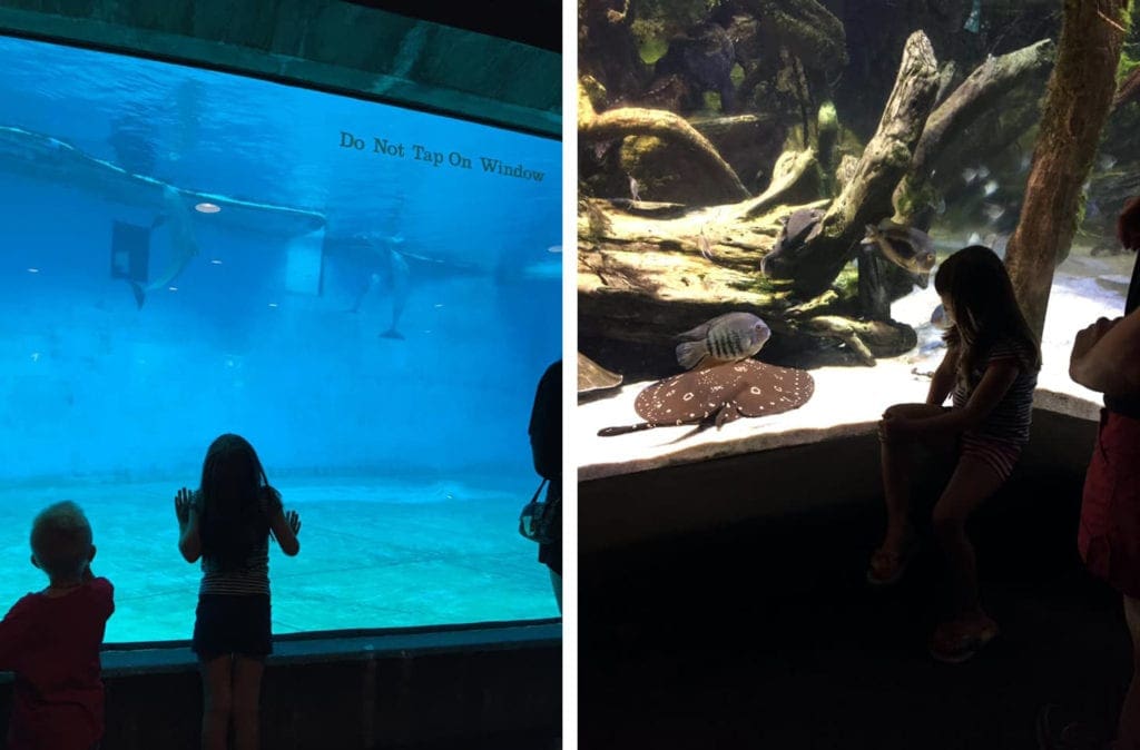 Left Image: Two young children peer into a huge aquarium tank at the National Aquarium in Baltimore. Right Image: A child looks upon a large stingray inside an exhibit at the National Aquarium in Baltimore, one of the best U.S. aquariums for kids.
