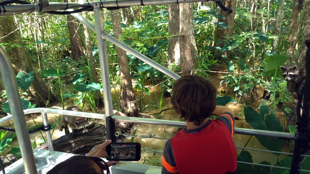 A young boy looks over the railing of a boat on a swamp tour in New Orleans.