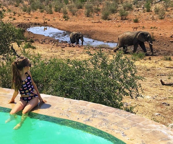 A young girl sitting on the edge of a pool looks behind her at a mama and baby elephant.