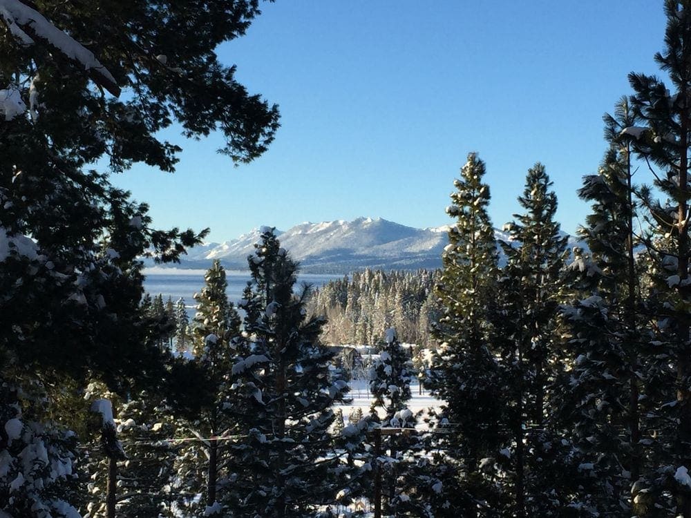 A view of Lake Tahoe through huge evergreen trees with mountains in the distance.