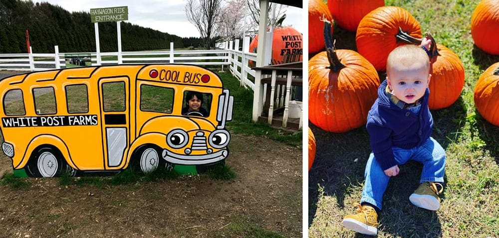 Left Image: A little boy smiles behind a wood bus with face cut outs. Right Image: An infant sits among large, orange pumpkins at White Post Farms, one of the best pumpkin patches near NYC to visit with kids.
