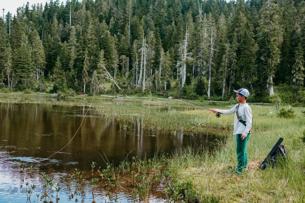 A young boy of color hold a fishing pool with the line in the water, he's standing on a grassy shore with evergreen trees in the background.