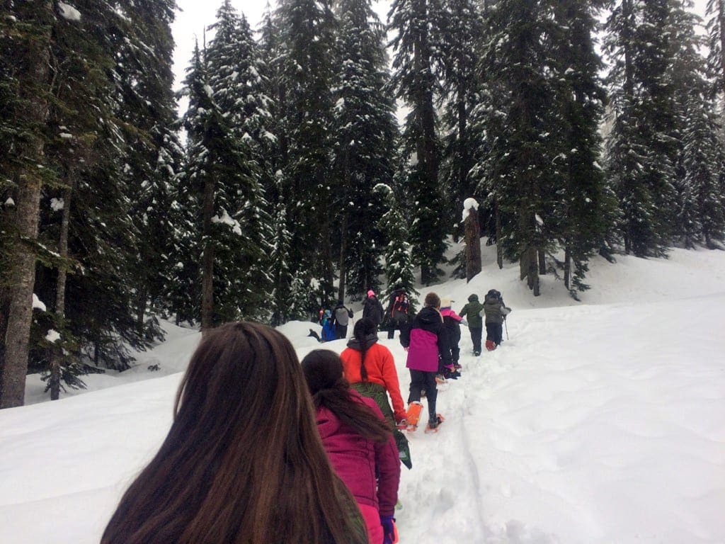 A line of children explore a snowy national park.