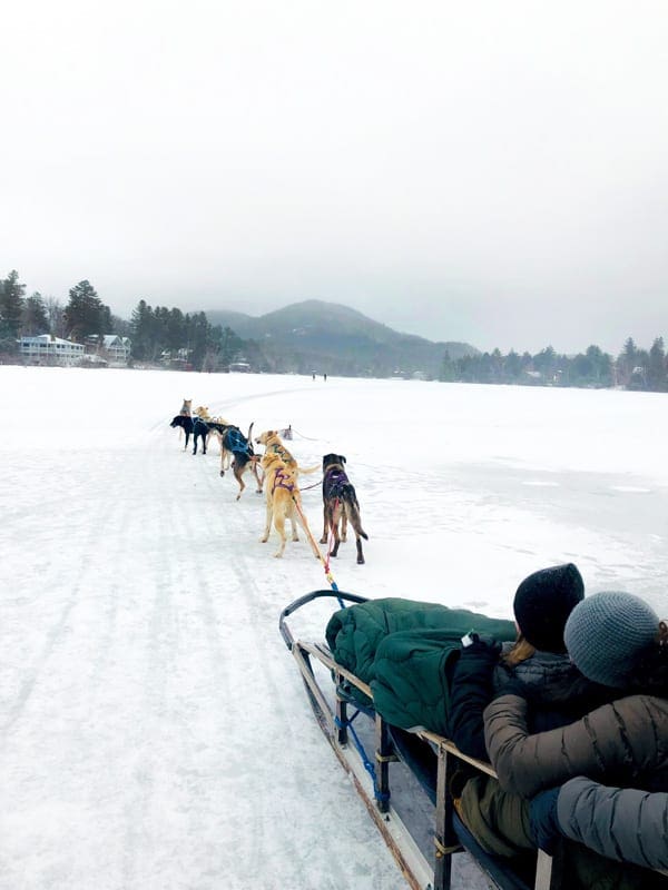 Two young kids ride with on a dogsled, with several dogs running the lead.