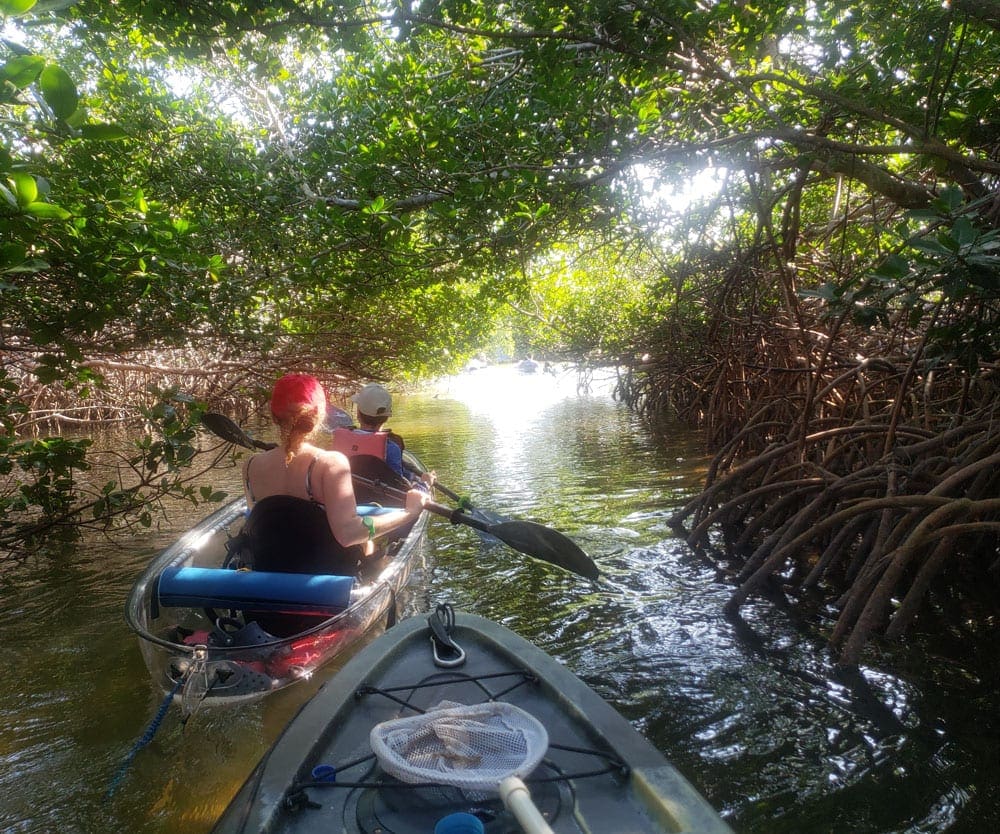 A family kayaks among the trees near Key West, one of the best spring break family destinations!