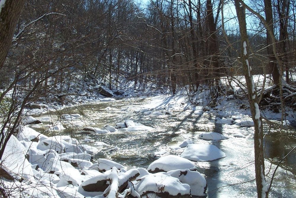 A view of the river within Rock Creek Park covered in snow and ice.