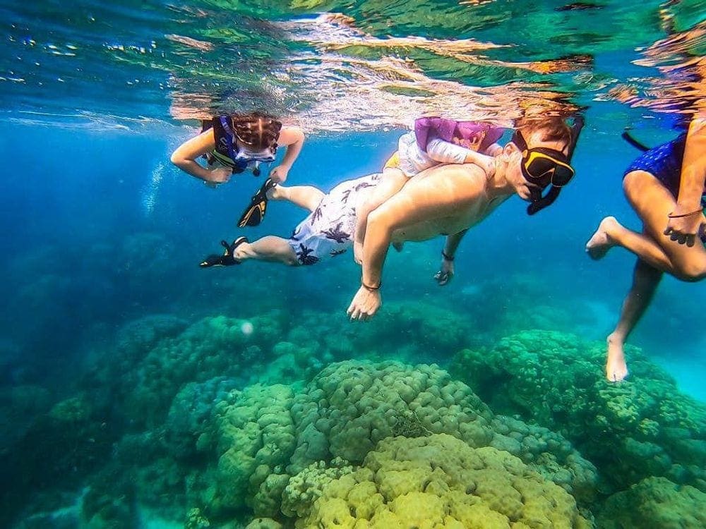 A family of four snorkels among the reefs in the Surin Islands of Thailand.