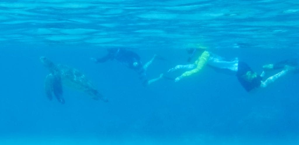 Two kids snorkel behind a sea turtle off the coast of Maui.