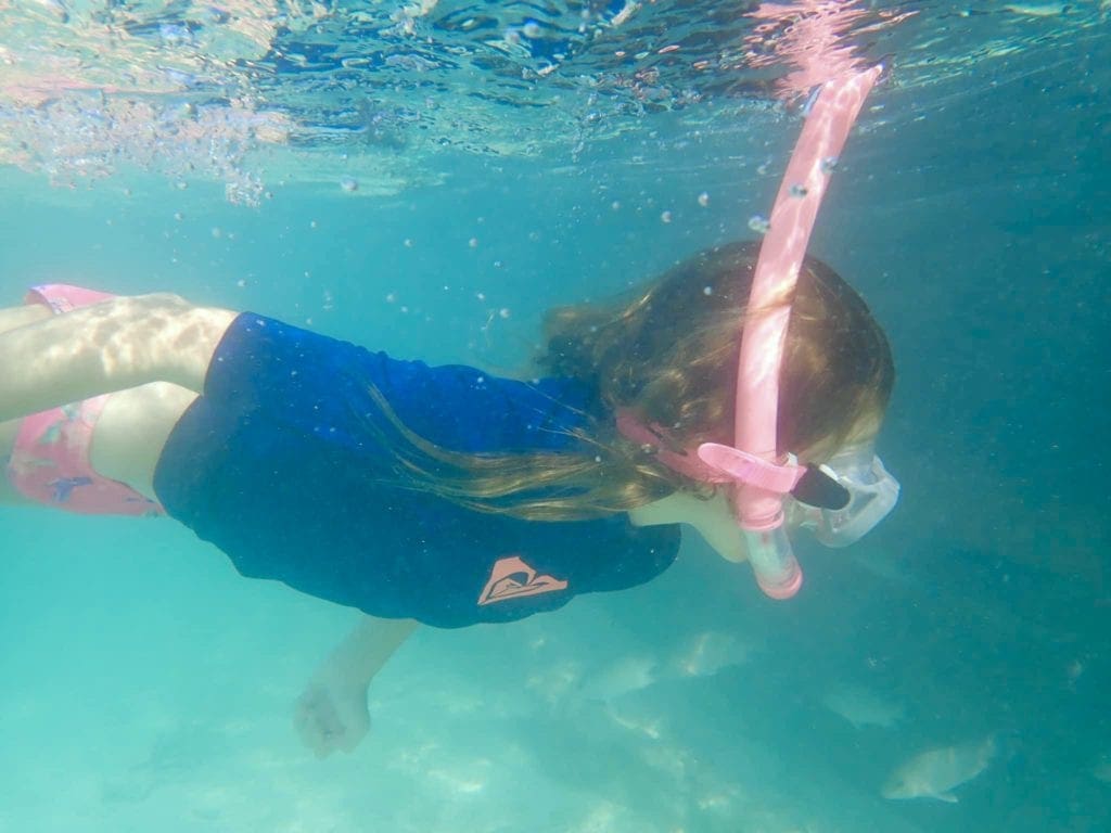 A young child child snorkels with a pink snorkel tube, an important component to kids snorkel gear, at Dry Tortugas National Park.