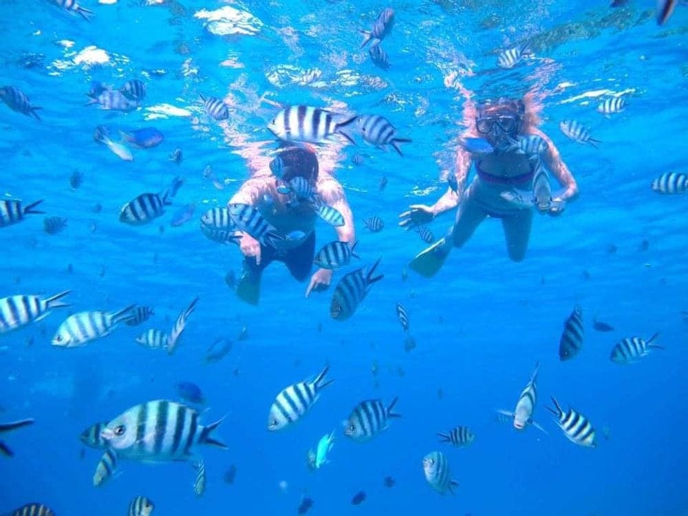 Two people snorkel along the surface of the water in Bora Bora among a plethora of striped fish. Bora Bora is one of the best places to snorkel with kids.
