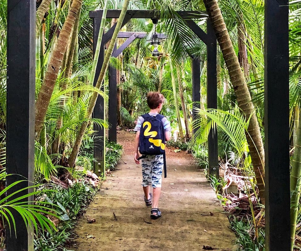A young boy wearing a back pack walks down a trail among lush foliage in St. Lucia.