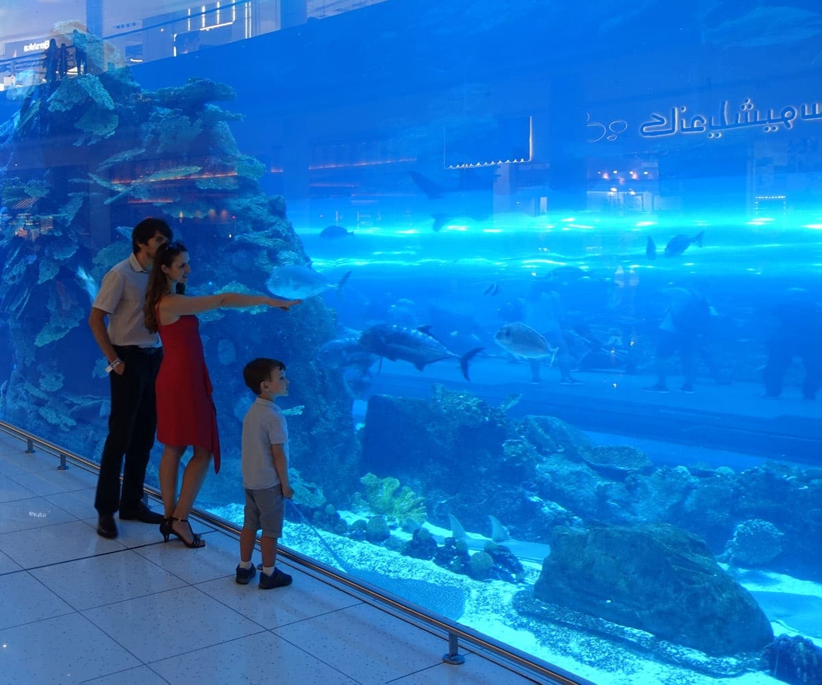 A family of three looks on at an aquarium in the Dubai Aquarium and Underwater Zoo.