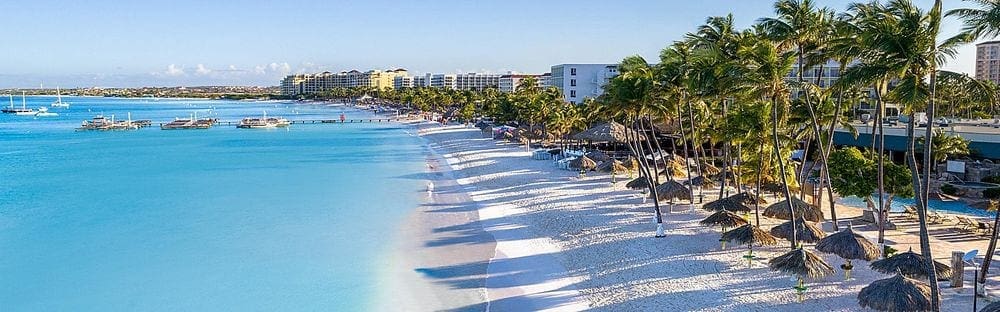 The grounds at Holiday Inn Aruba - Beach Resort & Casino, featuring a sweeping beach, ocean access, and palm trees.