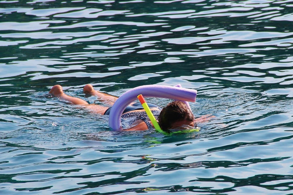 A young girl snorkels while floating on a purple pool noodle.