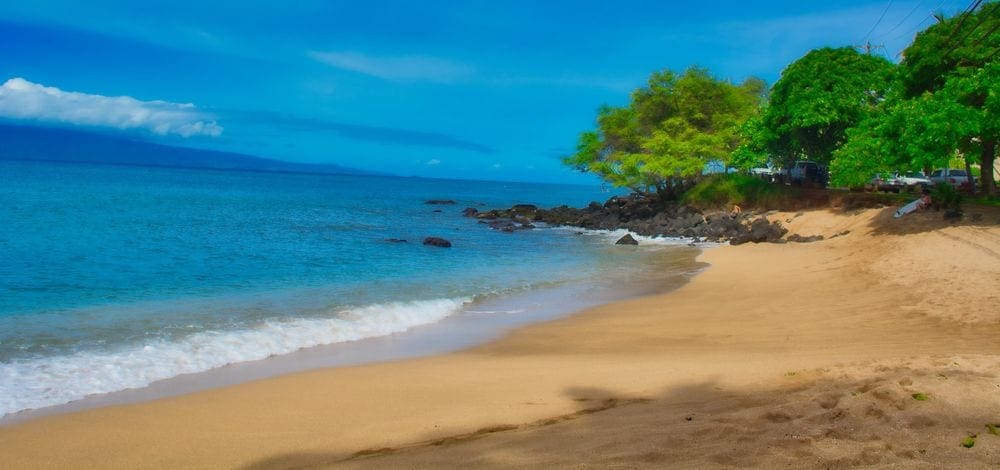 A sunny day shines on Kapalua Beach in Hawaii, one of our recommended kid-friendly U.S. beaches for families, with a line of trees along the beach in the distance.